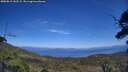 ./images/calvert/fitz-hugh-hecate/20250813/fitz-hugh-hecate20250813_142508M.jpg