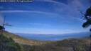 ./images/calvert/fitz-hugh-hecate/20250813/fitz-hugh-hecate20250813_160011M.jpg