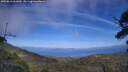 ./images/calvert/fitz-hugh-hecate/20250813/fitz-hugh-hecate20250813_161010M.jpg
