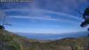 ./images/calvert/fitz-hugh-hecate/20250813/fitz-hugh-hecate20250813_161509M.jpg