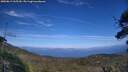 ./images/calvert/fitz-hugh-hecate/20250813/fitz-hugh-hecate20250813_165510M.jpg
