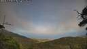 ./images/calvert/fitz-hugh-hecate/20250813/fitz-hugh-hecate20250813_175008M.jpg