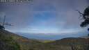 ./images/calvert/fitz-hugh-hecate/20250813/fitz-hugh-hecate20250813_180012M.jpg