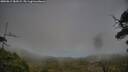 ./images/calvert/fitz-hugh-hecate/20250813/fitz-hugh-hecate20250813_182009M.jpg