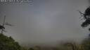./images/calvert/fitz-hugh-hecate/20250813/fitz-hugh-hecate20250813_182508M.jpg