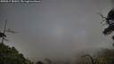 ./images/calvert/fitz-hugh-hecate/20250813/fitz-hugh-hecate20250813_183011M.jpg