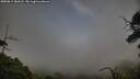 ./images/calvert/fitz-hugh-hecate/20250813/fitz-hugh-hecate20250813_183508M.jpg