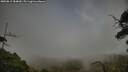 ./images/calvert/fitz-hugh-hecate/20250813/fitz-hugh-hecate20250813_184010M.jpg