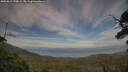 ./images/calvert/fitz-hugh-hecate/20250813/fitz-hugh-hecate20250813_190009M.jpg