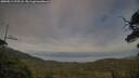 ./images/calvert/fitz-hugh-hecate/20250813/fitz-hugh-hecate20250813_195507M.jpg