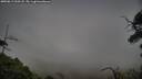 ./images/calvert/fitz-hugh-hecate/20250813/fitz-hugh-hecate20250813_200508M.jpg