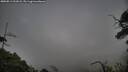 ./images/calvert/fitz-hugh-hecate/20250813/fitz-hugh-hecate20250813_202007M.jpg