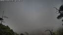 ./images/calvert/fitz-hugh-hecate/20250813/fitz-hugh-hecate20250813_202508M.jpg