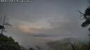 ./images/calvert/fitz-hugh-hecate/20250813/fitz-hugh-hecate20250813_210008M.jpg