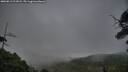 ./images/calvert/fitz-hugh-hecate/20250813/fitz-hugh-hecate20250813_211008M.jpg