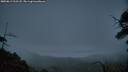 ./images/calvert/fitz-hugh-hecate/20250813/fitz-hugh-hecate20250813_212508M.jpg