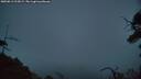 ./images/calvert/fitz-hugh-hecate/20250813/fitz-hugh-hecate20250813_213008M.jpg