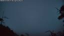 ./images/calvert/fitz-hugh-hecate/20250813/fitz-hugh-hecate20250813_213506M.jpg