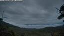 ./images/calvert/fitz-hugh-hecate/20250814/fitz-hugh-hecate20250814_055507M.jpg