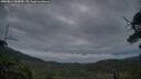 ./images/calvert/fitz-hugh-hecate/20250814/fitz-hugh-hecate20250814_060010M.jpg