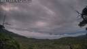 ./images/calvert/fitz-hugh-hecate/20250814/fitz-hugh-hecate20250814_060510M.jpg