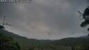 ./images/calvert/fitz-hugh-hecate/20250814/fitz-hugh-hecate20250814_062010M.jpg
