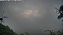 ./images/calvert/fitz-hugh-hecate/20250814/fitz-hugh-hecate20250814_063010M.jpg