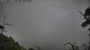 ./images/calvert/fitz-hugh-hecate/20250814/fitz-hugh-hecate20250814_064509M.jpg