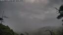 ./images/calvert/fitz-hugh-hecate/20250814/fitz-hugh-hecate20250814_065010M.jpg
