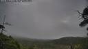 ./images/calvert/fitz-hugh-hecate/20250814/fitz-hugh-hecate20250814_070010M.jpg