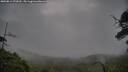 ./images/calvert/fitz-hugh-hecate/20250814/fitz-hugh-hecate20250814_070510M.jpg