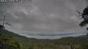 ./images/calvert/fitz-hugh-hecate/20250814/fitz-hugh-hecate20250814_073010M.jpg