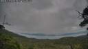 ./images/calvert/fitz-hugh-hecate/20250814/fitz-hugh-hecate20250814_073510M.jpg