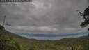 ./images/calvert/fitz-hugh-hecate/20250814/fitz-hugh-hecate20250814_074009M.jpg
