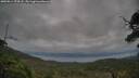 ./images/calvert/fitz-hugh-hecate/20250814/fitz-hugh-hecate20250814_074508M.jpg