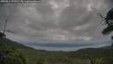 ./images/calvert/fitz-hugh-hecate/20250814/fitz-hugh-hecate20250814_075010M.jpg