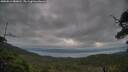 ./images/calvert/fitz-hugh-hecate/20250814/fitz-hugh-hecate20250814_080011M.jpg