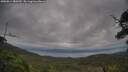 ./images/calvert/fitz-hugh-hecate/20250814/fitz-hugh-hecate20250814_080510M.jpg