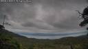 ./images/calvert/fitz-hugh-hecate/20250814/fitz-hugh-hecate20250814_081009M.jpg