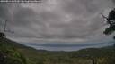 ./images/calvert/fitz-hugh-hecate/20250814/fitz-hugh-hecate20250814_082510M.jpg