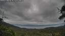 ./images/calvert/fitz-hugh-hecate/20250814/fitz-hugh-hecate20250814_083510M.jpg