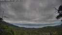 ./images/calvert/fitz-hugh-hecate/20250814/fitz-hugh-hecate20250814_084010M.jpg
