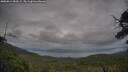 ./images/calvert/fitz-hugh-hecate/20250814/fitz-hugh-hecate20250814_085009M.jpg