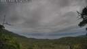 ./images/calvert/fitz-hugh-hecate/20250814/fitz-hugh-hecate20250814_091010M.jpg