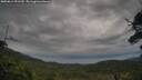 ./images/calvert/fitz-hugh-hecate/20250814/fitz-hugh-hecate20250814_091510M.jpg