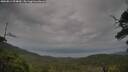 ./images/calvert/fitz-hugh-hecate/20250814/fitz-hugh-hecate20250814_094010M.jpg