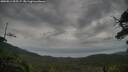 ./images/calvert/fitz-hugh-hecate/20250814/fitz-hugh-hecate20250814_095507M.jpg