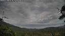 ./images/calvert/fitz-hugh-hecate/20250814/fitz-hugh-hecate20250814_100508M.jpg