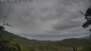 ./images/calvert/fitz-hugh-hecate/20250814/fitz-hugh-hecate20250814_101010M.jpg