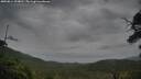 ./images/calvert/fitz-hugh-hecate/20250814/fitz-hugh-hecate20250814_103011M.jpg